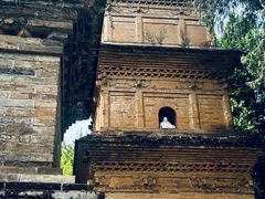 -兴教寺