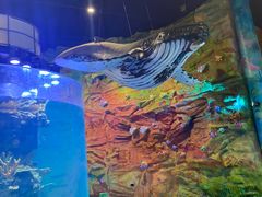 -青岛嘉年华主题乐园