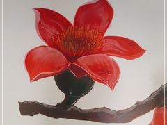 -攀枝花野菜铜火锅(万科凯德店)