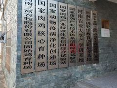 -解家河南菜(商鼎路店)