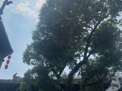 -墨池公园