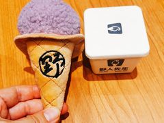 -野人先生现做冰淇淋(北京环宇荟店)