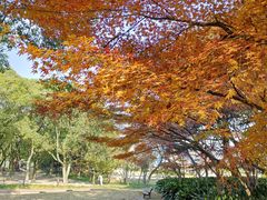 -上海市龙华烈士陵园