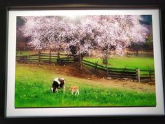 -罗红摄影艺术馆