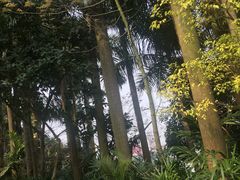 -南宁南湖公园