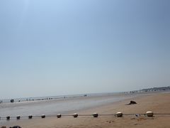 -日照海滨国家森林公园