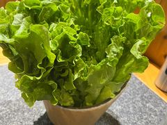 -鹤之乡·齐齐哈尔烤肉·非遗(秋涛路店)