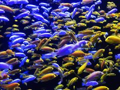 -成都浩海立方海洋公园