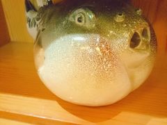 -天正河鲀·河豚亭(大连店)