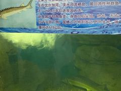 -泉州海丝野生动物世界