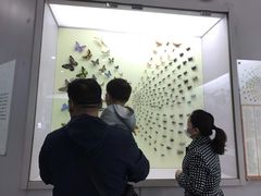 -国家自然博物馆