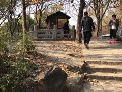 -灵岩山风景区