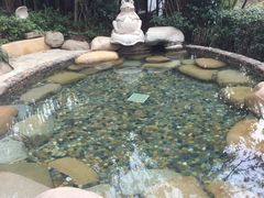-天目湖涵田半山温泉