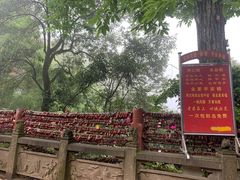 -青城山