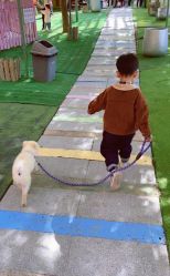 -萌宠亲子动物乐园(槐房万达店)