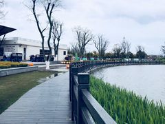 -上海长兴岛郊野公园