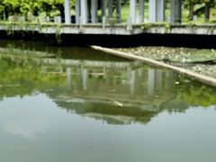 -贵州省植物园