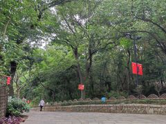 -灵岩山风景区
