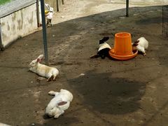 -前小桔亲子创意农场·草莓采摘·露营烧烤