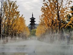 -龙华寺