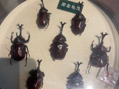 -陕西自然博物馆