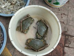 -南沙十九涌渔人码头-南门