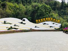 -西双版纳原始森林公园