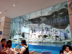 -帝企鹅自助餐厅•儿童岛•真企鹅(长隆企鹅酒店)