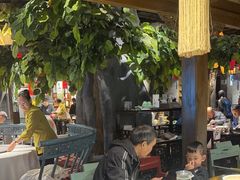 -北平盛世·新京菜·北京烤鸭(劲松·双井店)