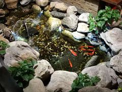 -清真·京华源铜锅涮肉(丰庆店)