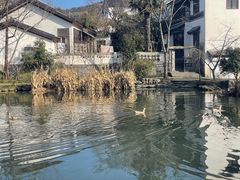 -石塘人家