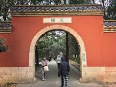 -灵谷景区