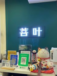-菩叶脱发白发中心