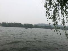-浙江西子宾馆·牡丹厅