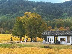 -塔川景区