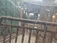 -前门杨记·铜锅涮肉(王府井·故宫店)