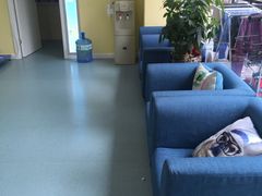 -瑞鹏宠物医院·爱宠堂·骨外专科(西荷分院)