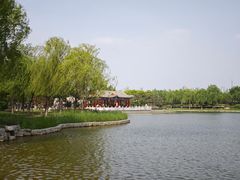 -西海子公园
