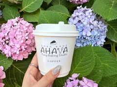 -AHAVA·Fang Baking Studio
