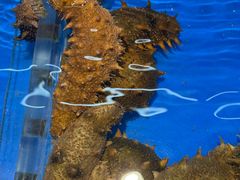 -万宝海鲜舫(劳动公园店)