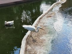-海南热带野生动植物园