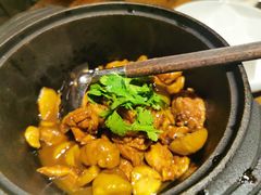 -铁公鸡·四川料理(天环广场店)