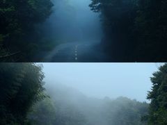 -广州市石门国家森林公园