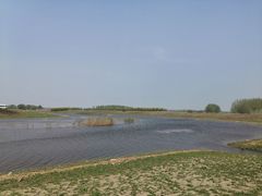 -蒲河岛湿地公园