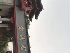 -金城公园
