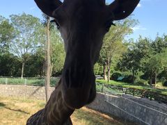 -石家庄市动物园