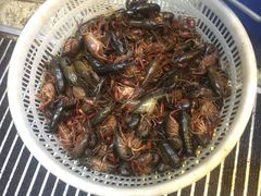 -王红军龙虾(新民路店)