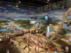 -自贡恐龙博物馆