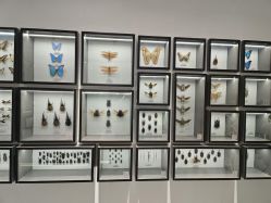 -酷嗒动物文化乐园(cutezoo西溪乐天城店)