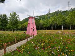 -顺峰山公园